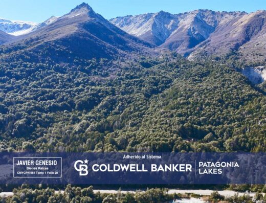 Campo Patrimonial de 109 ha con Frente al Lago Nahuel Huapi – Villa La Angostura